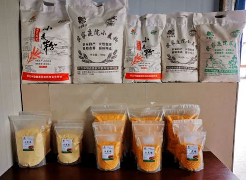 科左中旗全力打造四个 百亿级产业集群 加快构筑现代产业体系