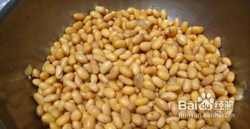 自制纳豆大成功