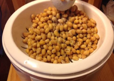 产于中国的纳豆,传到日本后被日本人发扬光大,成品只有他们敢吃