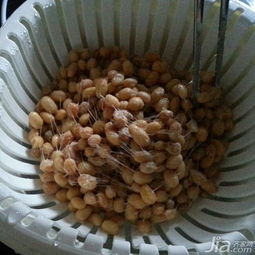 酸奶机怎么做纳豆,你需要明白的是这些
