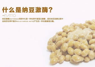 纳豆激酶为什么能安全高效地溶解血栓