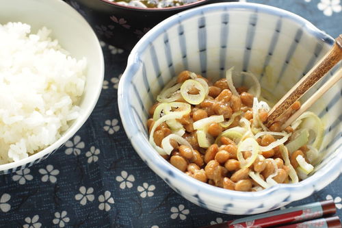 纳豆激酶有用吗