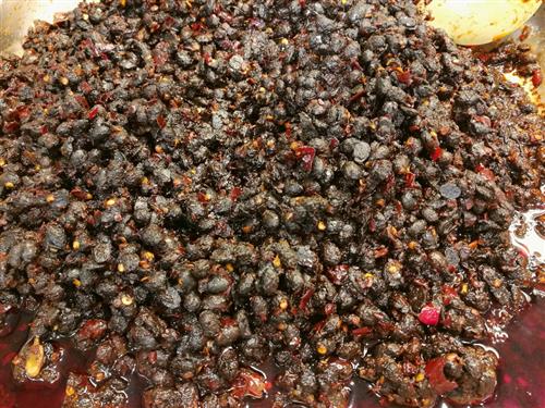 女性养生 吃吃喝喝也瘦脸 17种食物吃出小v脸