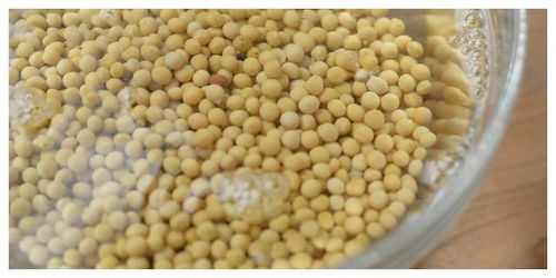 一碗黄豆,一点细菌,做成的美味纳豆,一吃拉出长丝,太美味