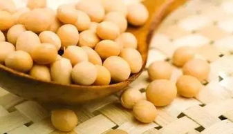 日本纳豆 美容养颜,一碗纳豆吃出全身健康