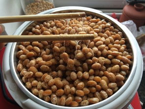 精美纳豆 家常菜谱大全,纳豆怎么做,纳豆如何做