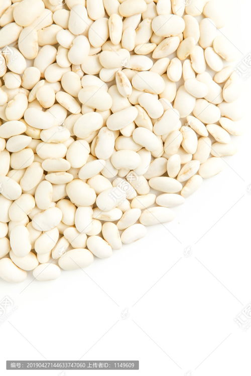 大白芸豆图片素材下载 食品餐饮素材下的五谷杂粮图片素材