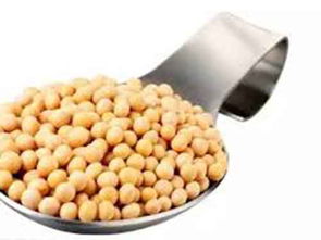 纳豆激酶的功效与作用