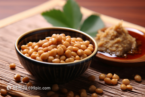 健康发酵食品纳豆