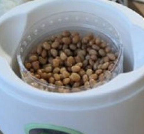 纳豆,教你在家自制,拉丝长,两分钟就学会,一次成功