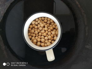 鲜纳豆的做法 鲜纳豆怎么做