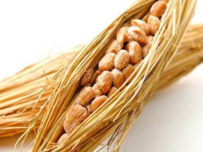 纳豆激酶的价格 纳豆激酶的作用