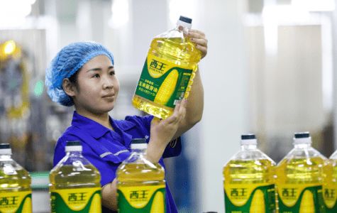 达人深入西王食品,溯源直击工厂内部