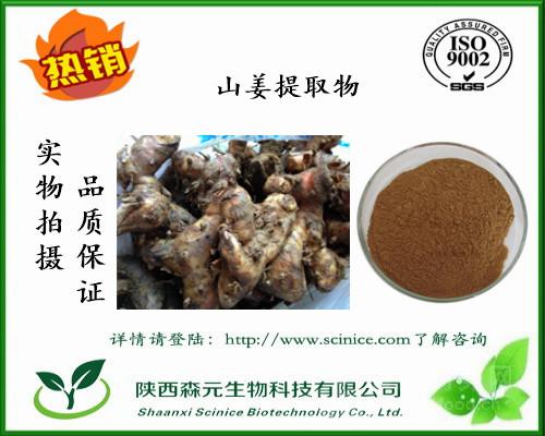 山姜提取物价格 10 1 山姜粉厂家 含姜辣素 质量上乘 工厂直销价格,产品报价