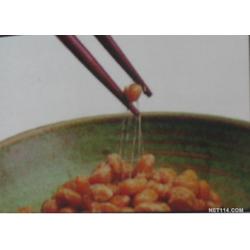 西安市酵素批发 酵素供应 酵素厂家 