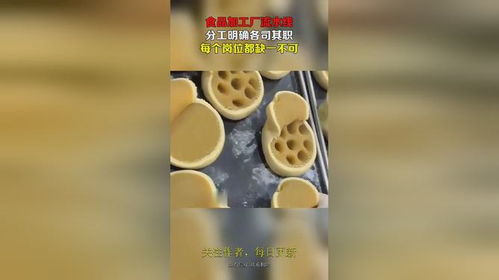 食品加工厂流水线,分工明确各司其职,每个岗位都缺一不可