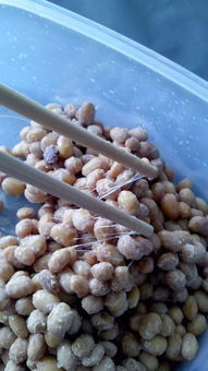 纳豆长什么样