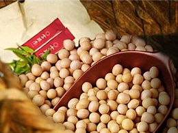 yss默的主页 zcool