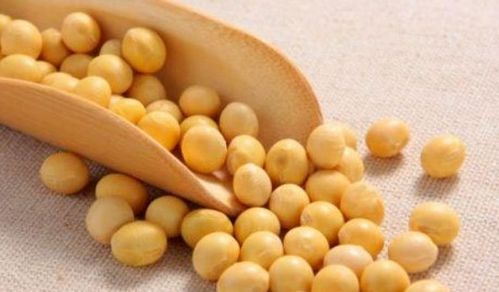 血小板增多症饮食推荐 吃纳豆能预防血栓