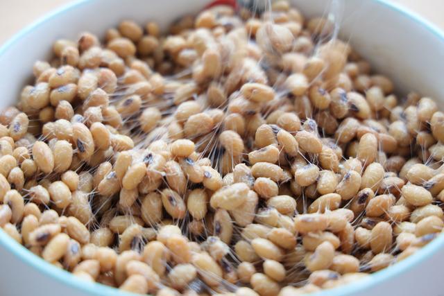 自制纳豆,营养丰富,软糯拉丝,老人孩子都爱吃,做法超级简单|黄豆|豆子