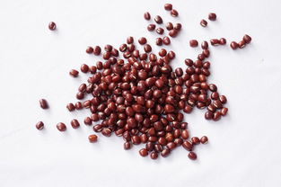 红豆粗粮图片设计素材 高清模板下载 8.32mb 饮品美食大全