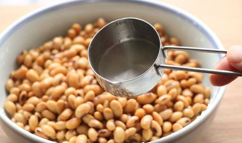 自制纳豆 营养丰富，软糯拉丝，做法超简单