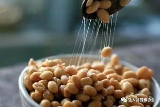 中国人吃遍天下 这9种食物中国人很少吃,外国人却吃得欢