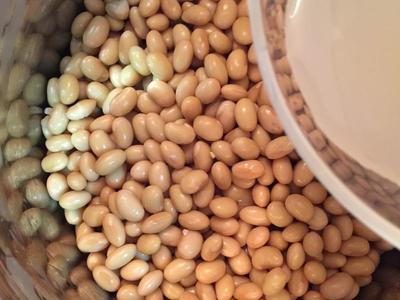 堂妈教你做纳豆