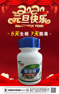祝福新年快乐，纳豆与火爆农资招商网共迎美好未来