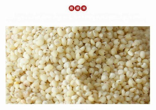 奈曼旗老哈河草原八珍礼盒 营养与风味的匠心臻选